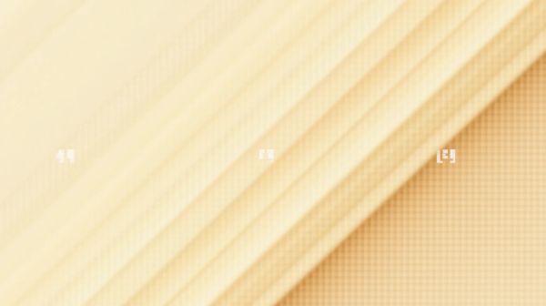 Utilisation de la barre oblique dans le langage typographique